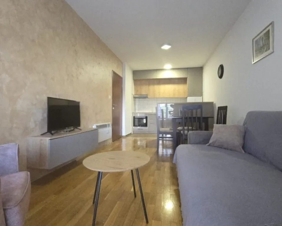 Prodaja, jednosoban stan, 48m², Zabjelo, Podgorica