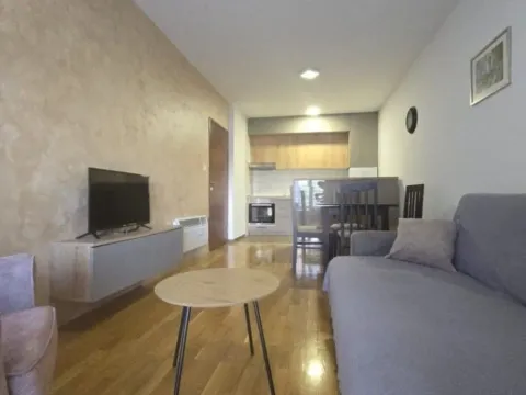 Prodaja, jednosoban stan, 48m², Zabjelo, Podgorica - image 1