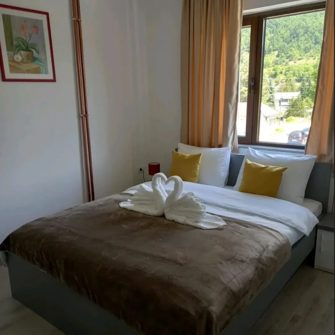 Prodaja, ugostiteljski objekat, 460m², Centar, Plav