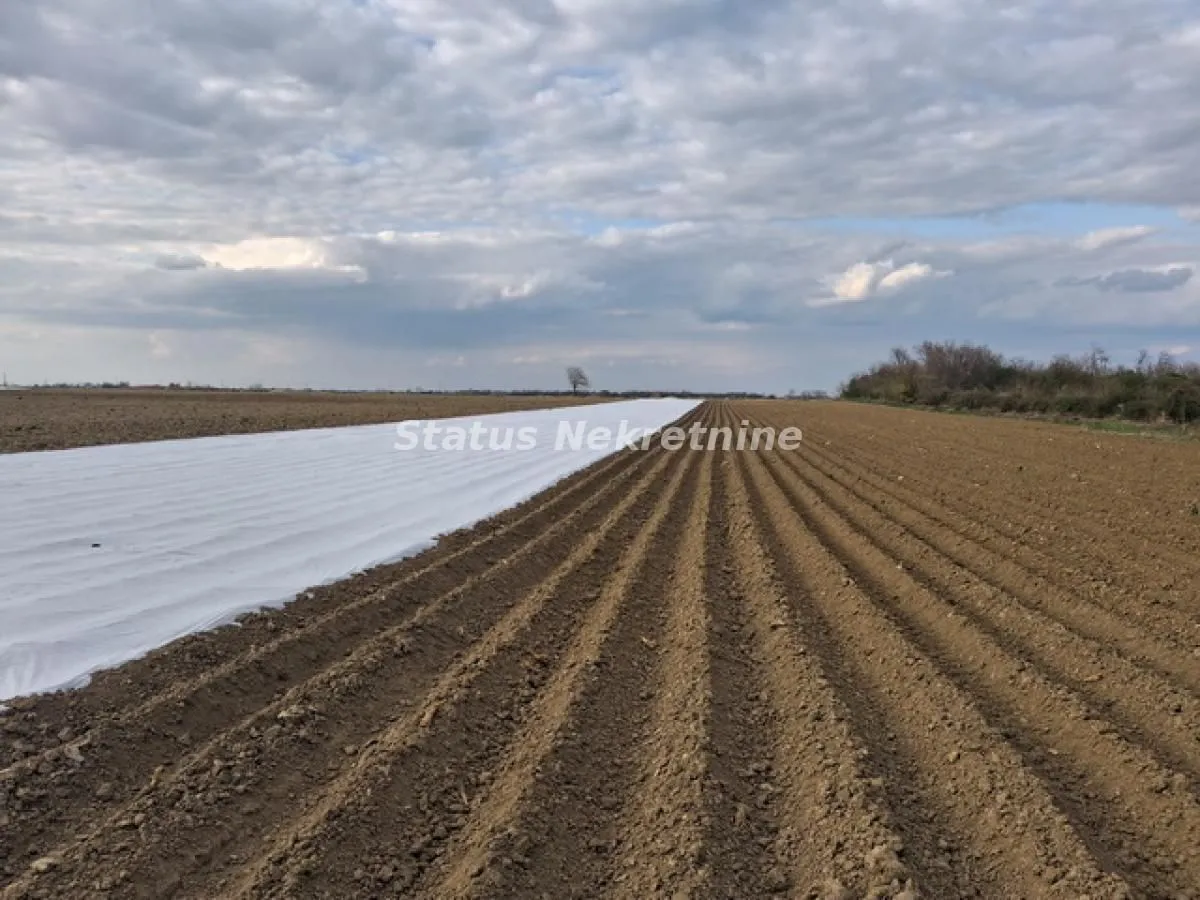Prodaja, plac, 12710m², Futog, Novi Sad Sve Podlokacije