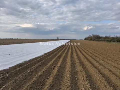 Prodaja, plac, 12710m², Futog, Novi Sad Sve Podlokacije - image 5