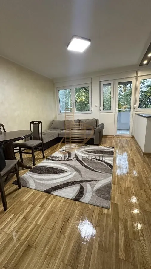 Izdavanje, jednosoban stan, 45m², Stari Merkator, Novi Beograd Sve Podlokacije