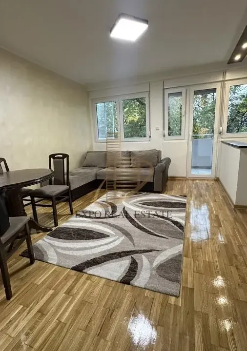 Izdavanje, jednosoban stan, 45m², Stari Merkator, Novi Beograd Sve Podlokacije