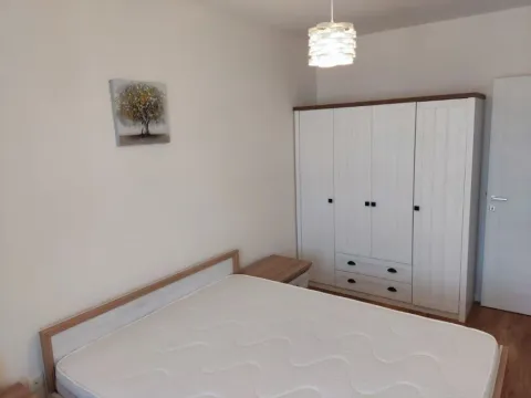 Izdavanje, jednosoban stan, 43m², Central Point, Podgorica - image 9