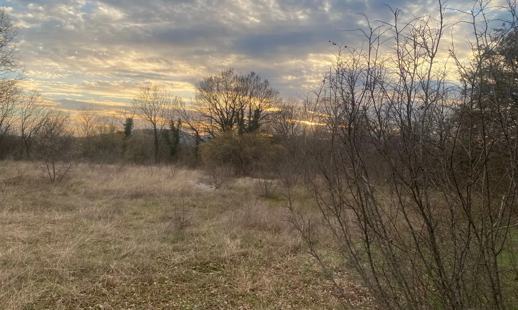 Prodaja, plac, 8612m², Podgorica, Crna Gora