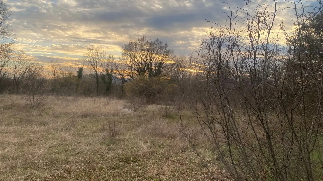 Prodaja, plac, 8612m², Podgorica, Crna Gora