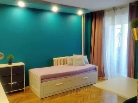 Sale, one bedroom apartment, 35m², Bulevar Oslobodjenja, Novi Sad Sve Podlokacije - image 2