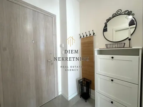 Izdavanje, jednosoban stan, 49m², Central Point, Podgorica - image 11