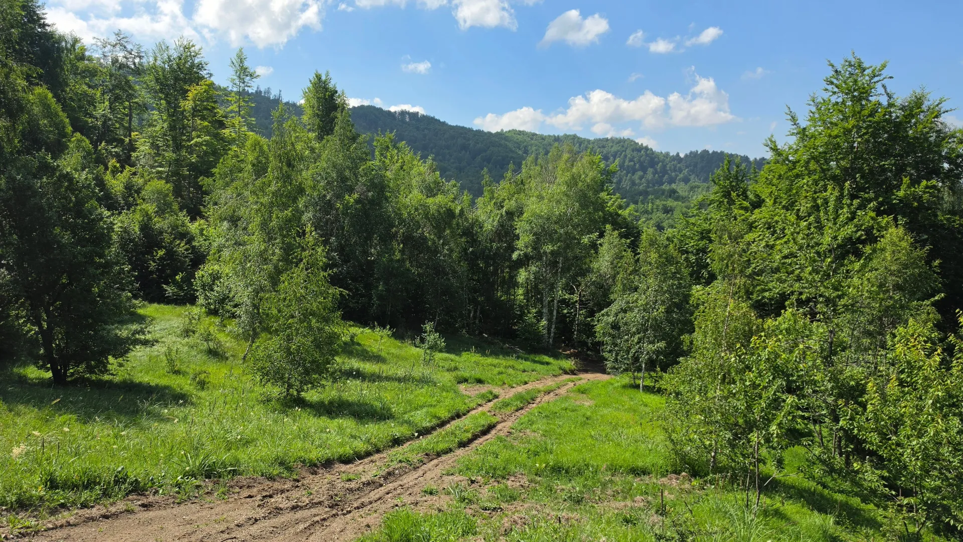 Sale, land lot, 89208m², Padež, Kolašin