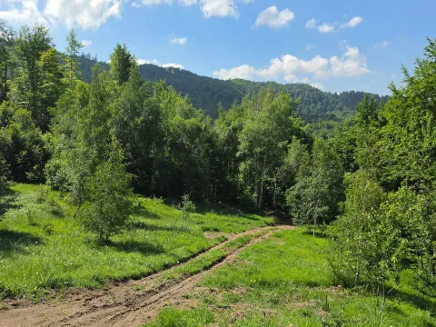 Sale, land lot, 89208m², Padež, Kolašin - image 12