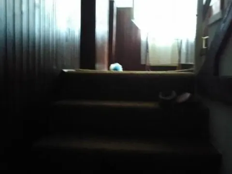 Sale, house, 138m², Sombor, Srbija - image 7