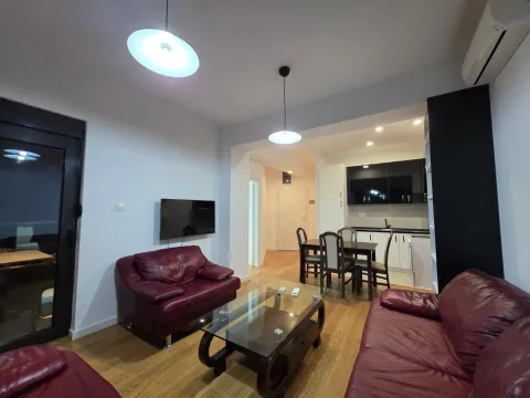 Izdavanje, jednosoban stan, 47m², Podgorica, Crna Gora - image 15