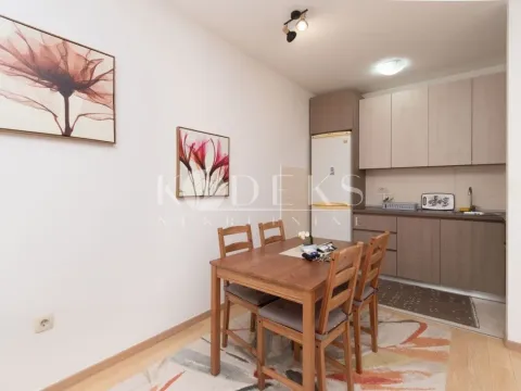 Izdavanje, jednosoban stan, 46m², City Kvart, Podgorica - image 4