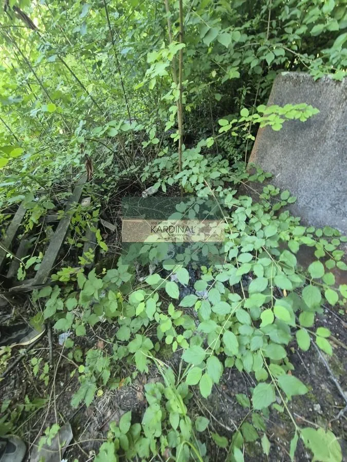 Prodaja, kuća, 56m², Kolonija, Jagodina