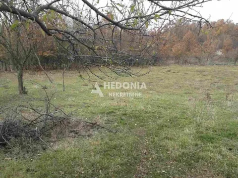 Prodaja, plac, 4000m², Stepojevac, Lazarevac - image 3
