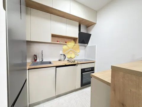 Rent, one bedroom apartment, 50m², Central Point, Podgorica - image 5