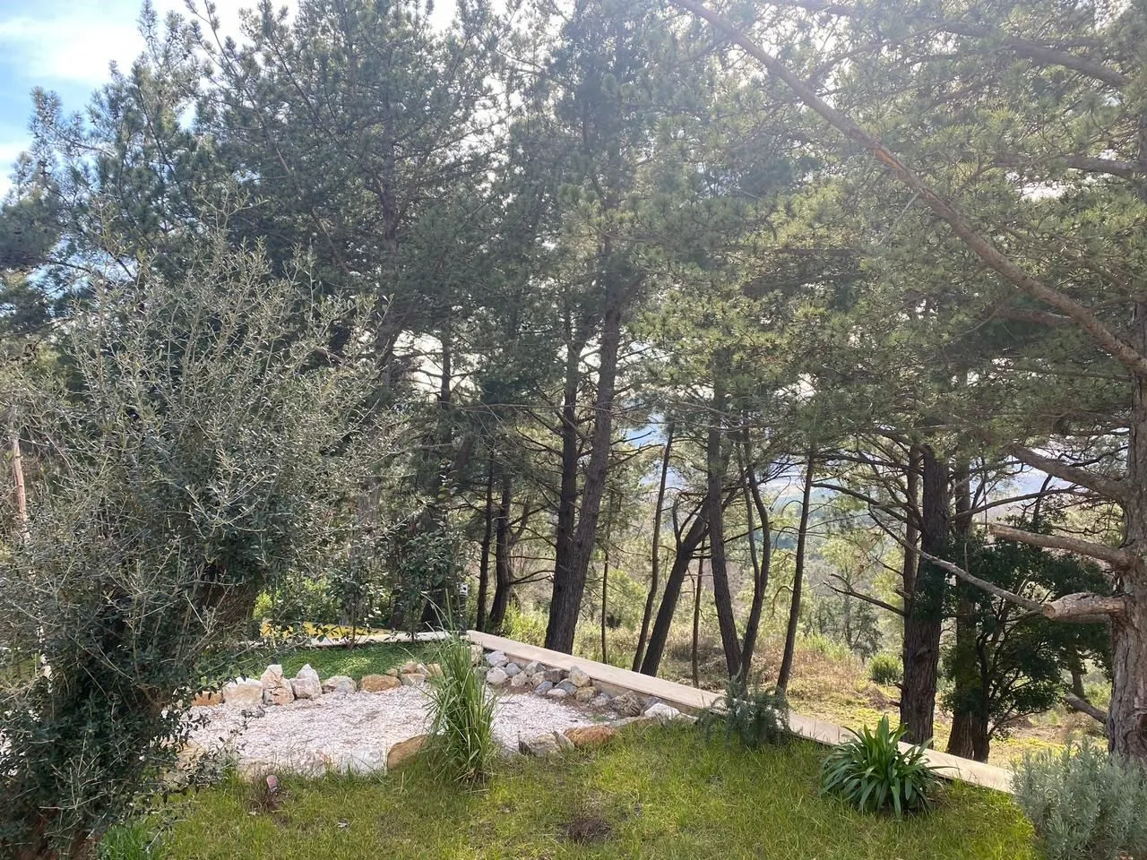 Prodaja, plac, 3626m², Kavač, Kotor