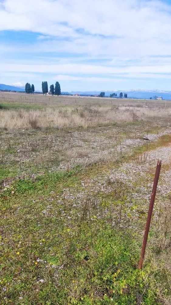 Prodaja, plac, 1500m², Zeta, Podgorica