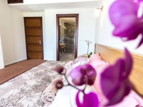 Prodaja, kuća, 490m², Đenovići, Herceg Novi - image 3