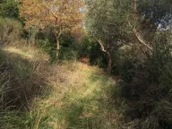 Sale, land lot, 1600m², Muo, Kotor - image 9