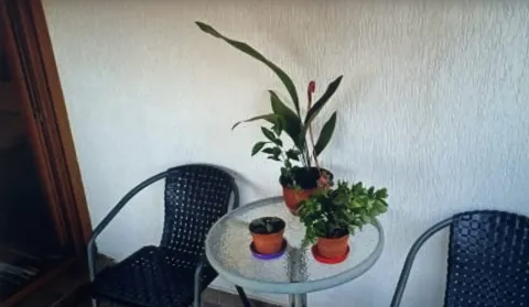 Rent, one bedroom apartment, 45m², Ljubović, Podgorica - image 6