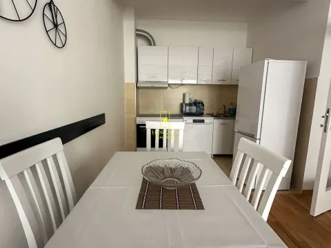 Rent, one bedroom apartment, 46m², Zabjelo, Podgorica - image 3