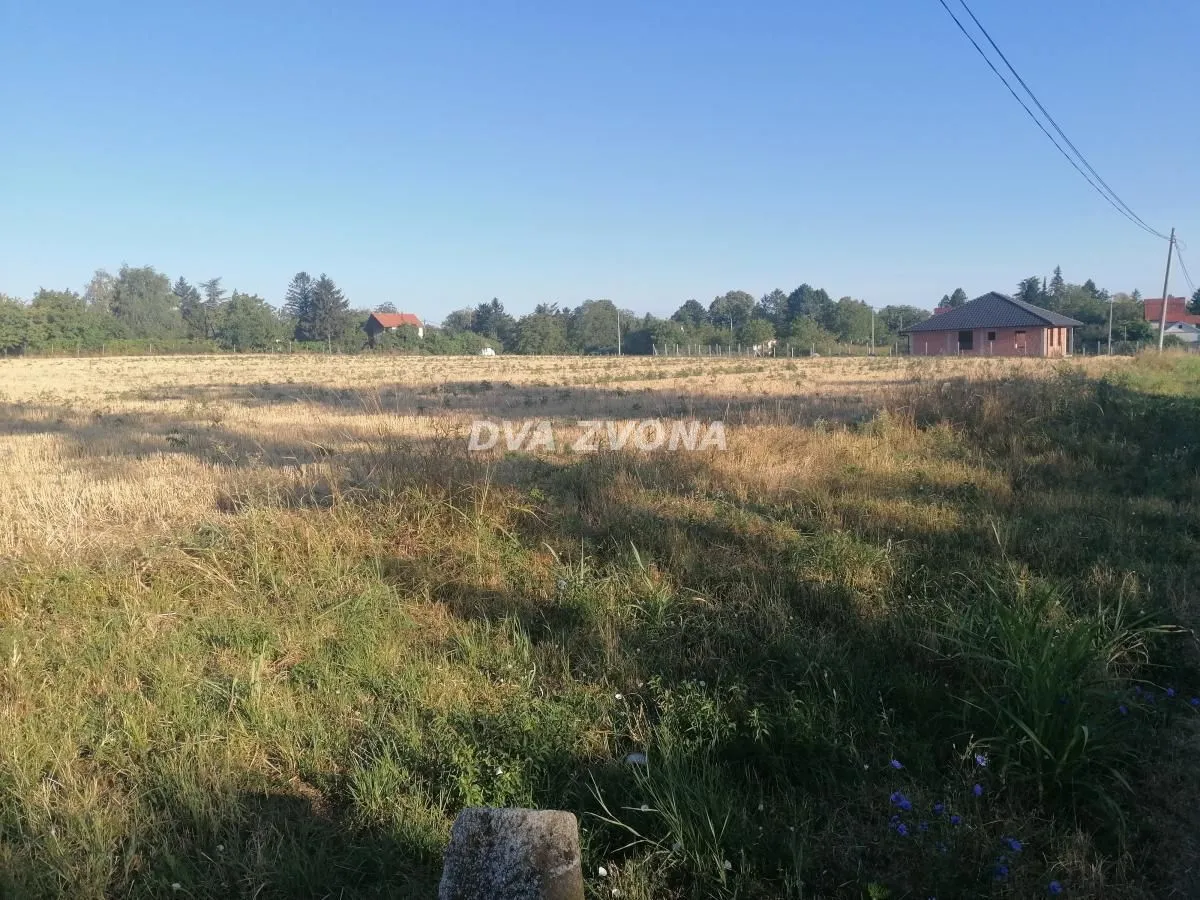 Prodaja, plac, 1600m², Čortanovci, Inđija
