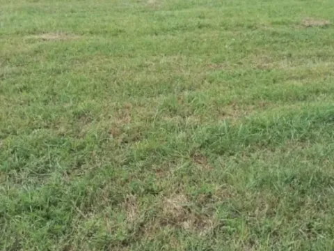 Prodaja, plac, 1878m², Polje, Bar - image 3