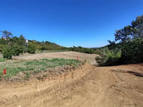 Prodaja, plac, 700m², Sremska Kamenica, Petrovaradin - image 11