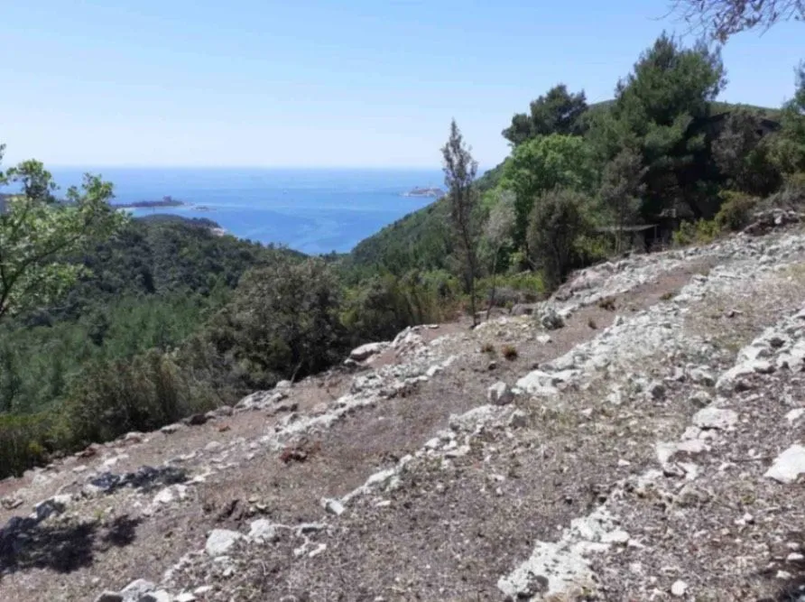 Prodaja, plac, 4554m², Radovići, Tivat