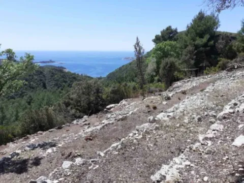 Prodaja, plac, 4554m², Radovići, Tivat - image 3