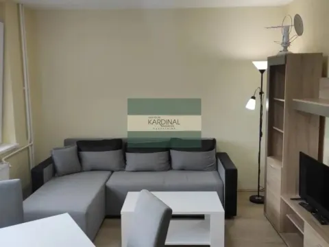 Rent, two bedroom apartment, 49m², Bubanj, Kragujevac - image 12
