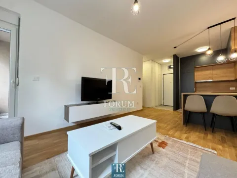 Izdavanje, jednosoban stan, 50m², Stari Aerodrom, Podgorica - image 4