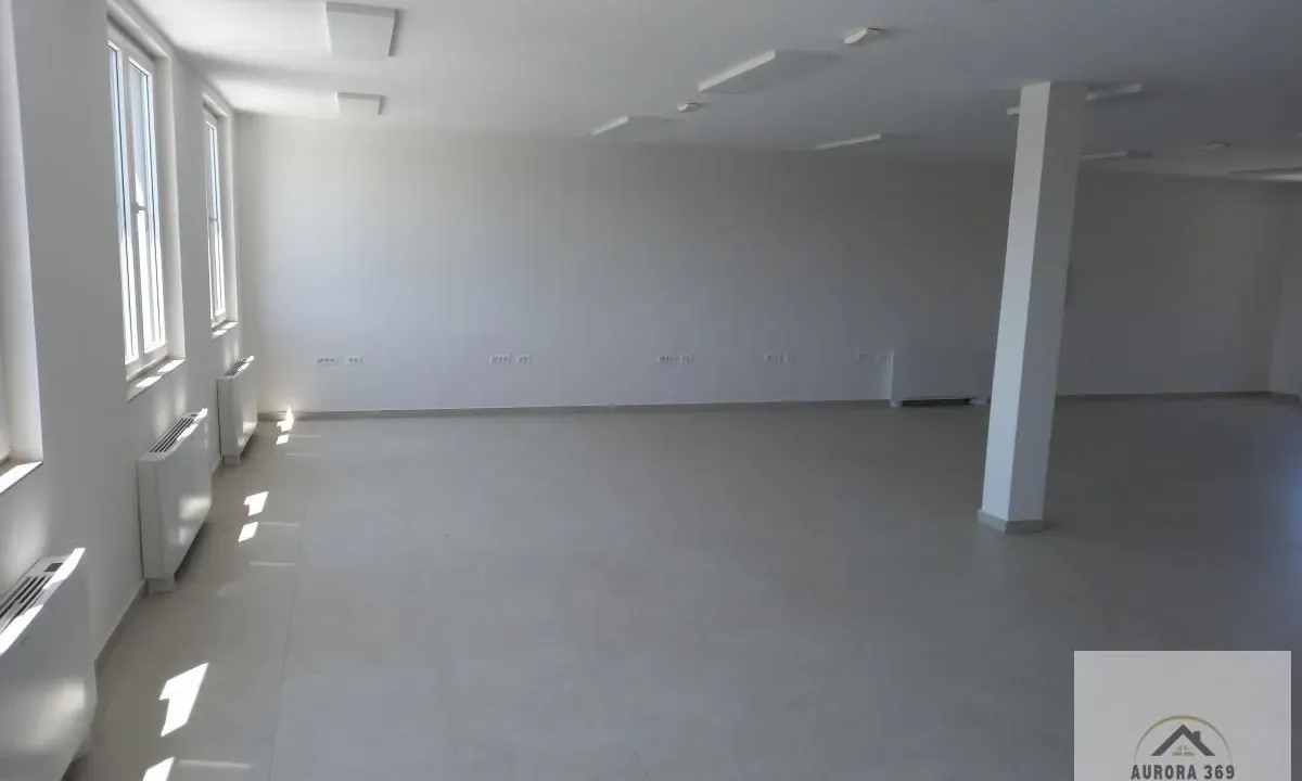 Izdavanje, poslovni prostor, 250m², Veternik, Novi Sad Sve Podlokacije
