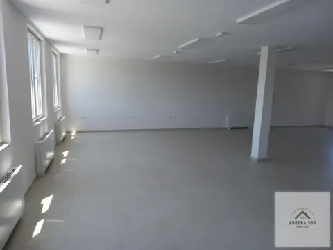 Izdavanje, poslovni prostor, 250m², Veternik, Novi Sad Sve Podlokacije