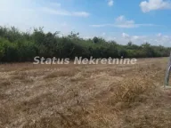 Prodaja, plac, 341m², Sremska Mitrovica, Srbija - image 8