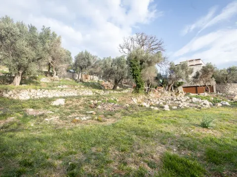 Prodaja, plac, 1740m², Reževići, Budva - image 3