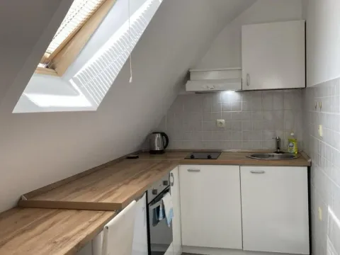 Sale, one bedroom apartment, 30m², Brace Jerković, Voždovac Sve Podlokacije - image 9