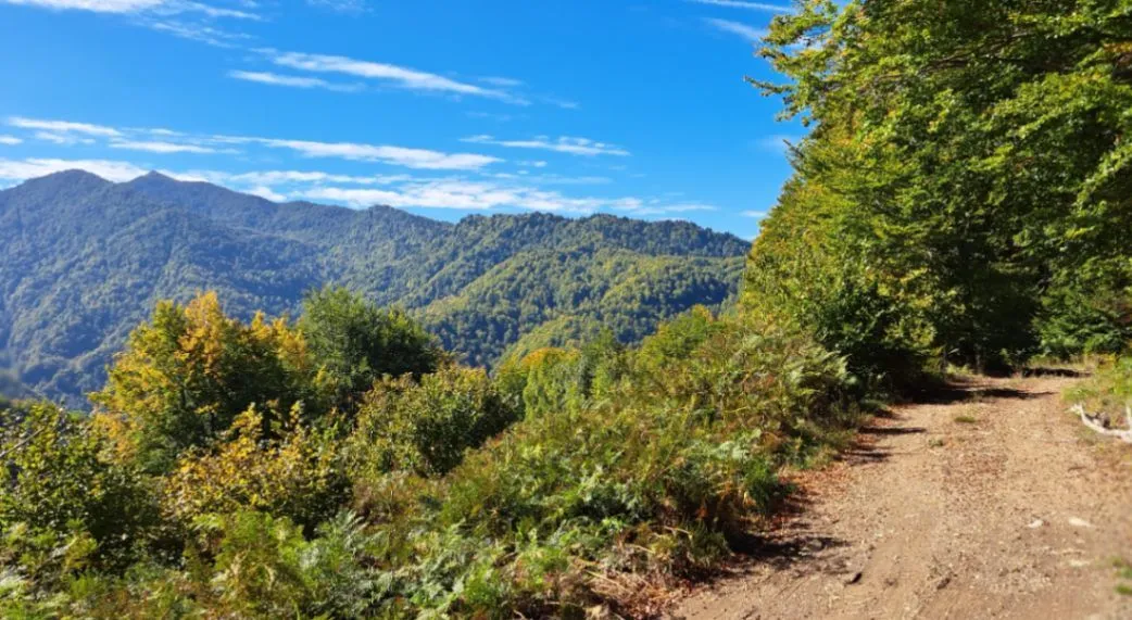 Prodaja, plac, 89208m², Padež, Kolašin