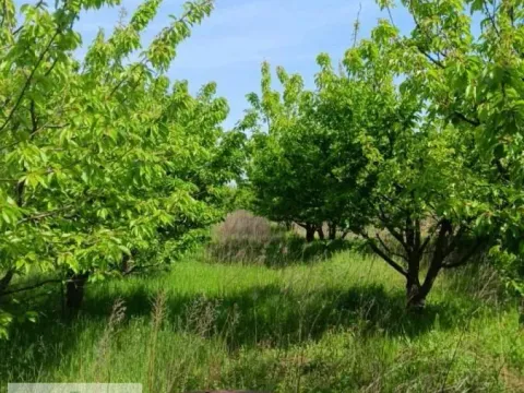 Prodaja, plac, 28200m², Trstenica, Obrenovac - image 2