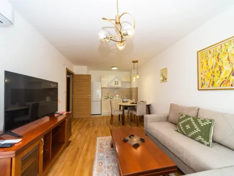 Rent, one bedroom apartment, 40m², Stari Aerodrom, Podgorica - image 3