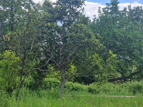 Prodaja, plac, 300m², Tivat, Crna Gora - image 7