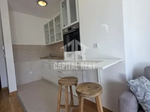 Izdavanje, jednosoban stan, 32m², Senjak, Beograd - image 3