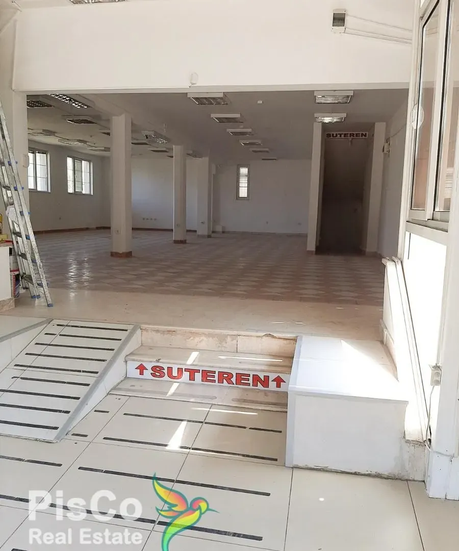 Izdavanje, poslovni prostor, 310m², Zagorič, Podgorica
