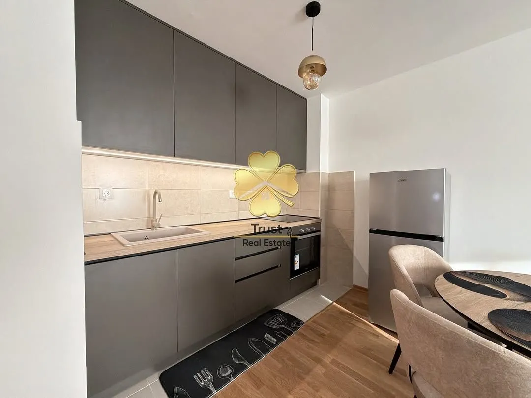 Izdavanje, jednosoban stan, 45m², Stari Aerodrom, Podgorica