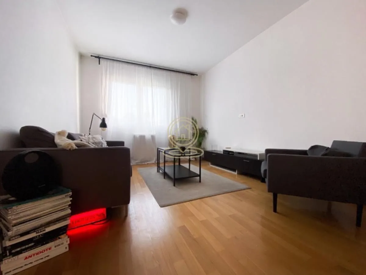 Izdavanje, dvosoban stan, 44m², Vračar Sve Podlokacije, Beograd