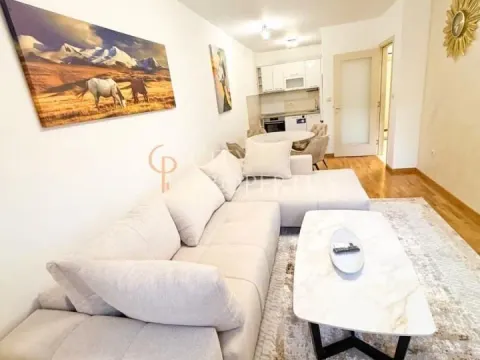 Izdavanje, stan, 46m², Zagorič, Podgorica - image 7