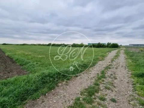 Prodaja, plac, 7400m², Deč, Pećinci - image 3