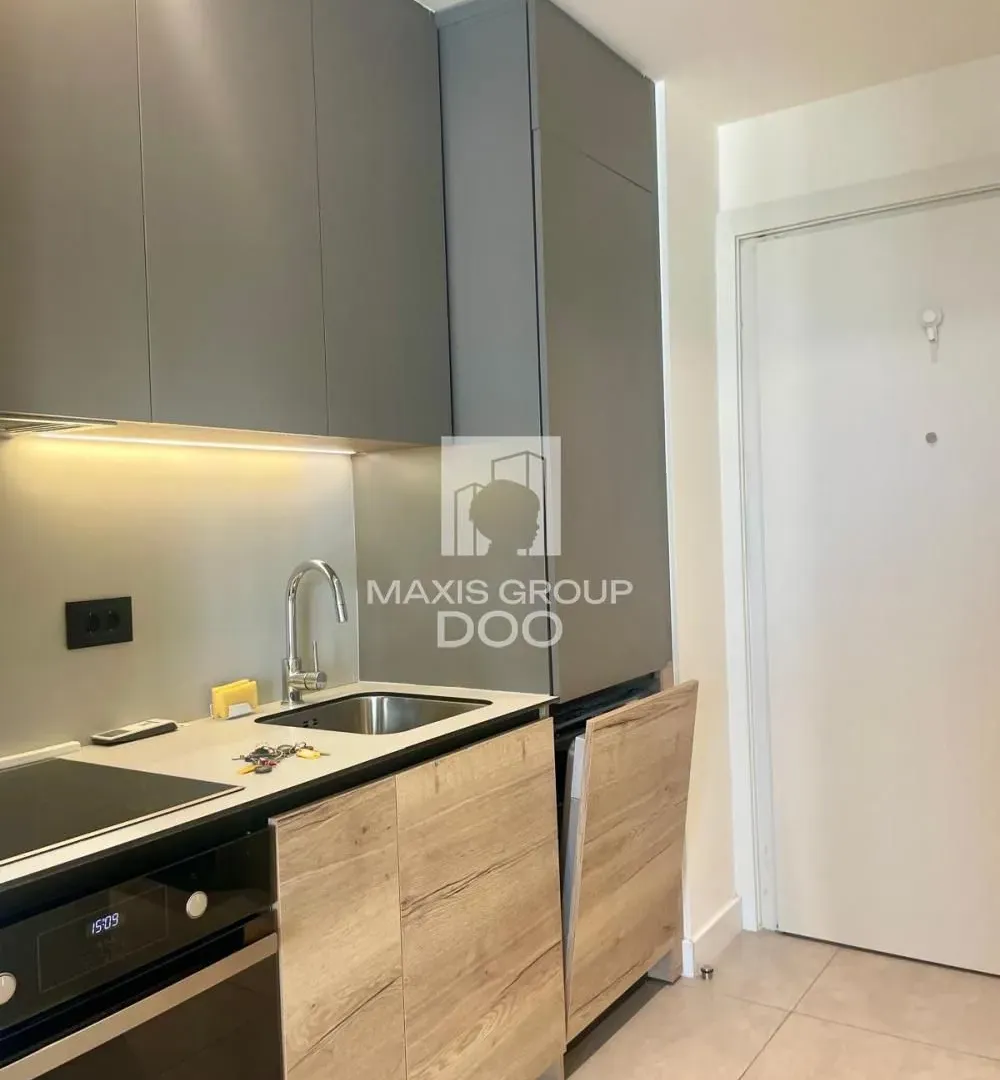 Rent, one bedroom apartment, 30m², Savski Venac, Beograd