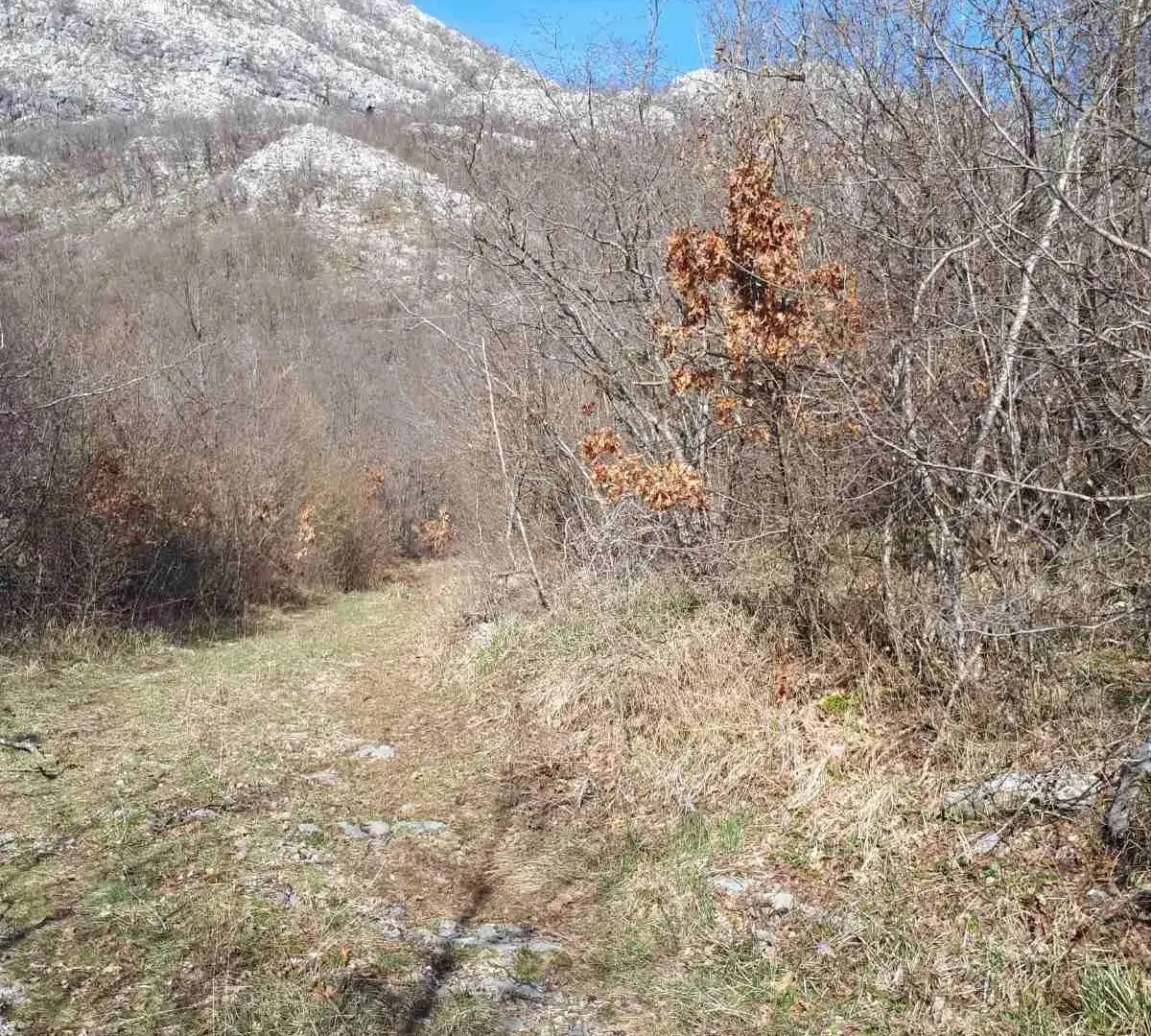 Prodaja, plac, 93700m², Kotor, Crna Gora